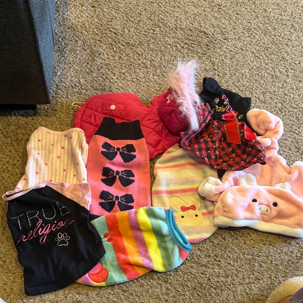 Stylish Dog Clothing Set - Pink, Black, Multicolor and a set of dog boots